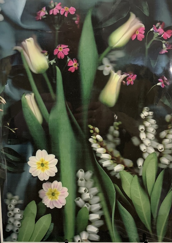 C Sterling| McAtamney Gallery and Design Store | Geraldine NZ 